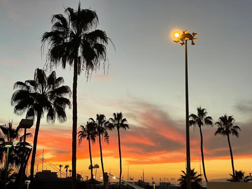 Newsletter-Feb-2022-17-1