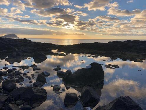 NewsletterFeb2021-174