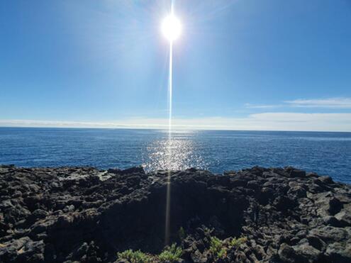 NewsletterFeb2021-88