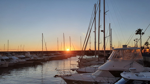 Newsletter-Feb-2022-29