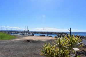 Carol Flemming & Mandy Collins